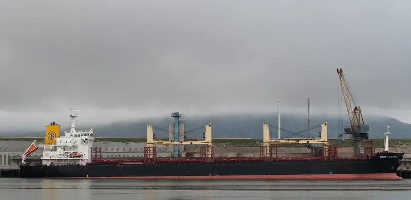ALLIANCE Bulk Carrier IMO 9496331 photo 5