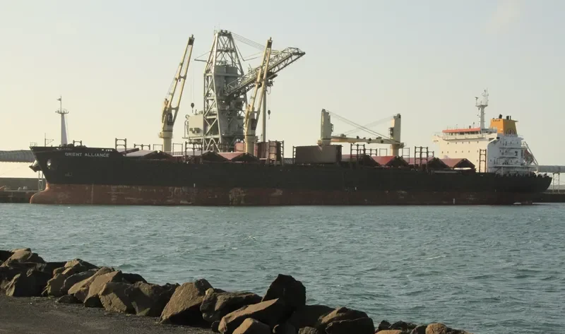 ALLIANCE Bulk Carrier IMO 9496331 photo 40