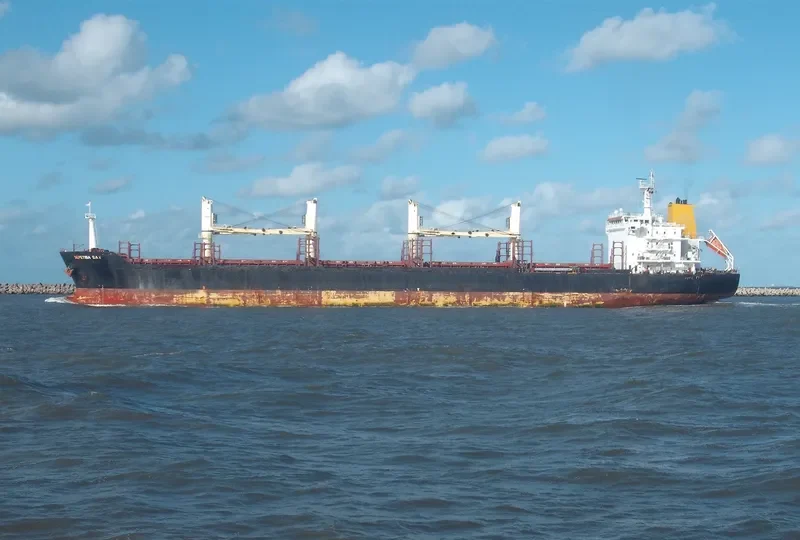 SEPETIBA BAY Bulk Carrier IMO 9496343 photo 2
