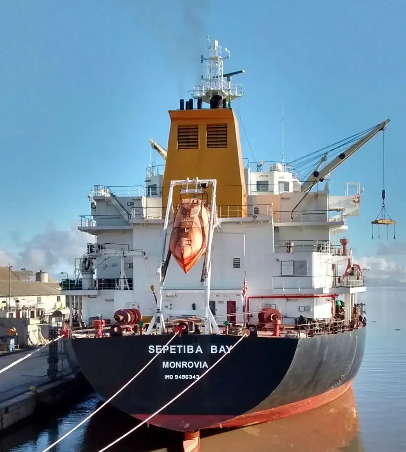 SEPETIBA BAY Bulk Carrier IMO 9496343 photo 4