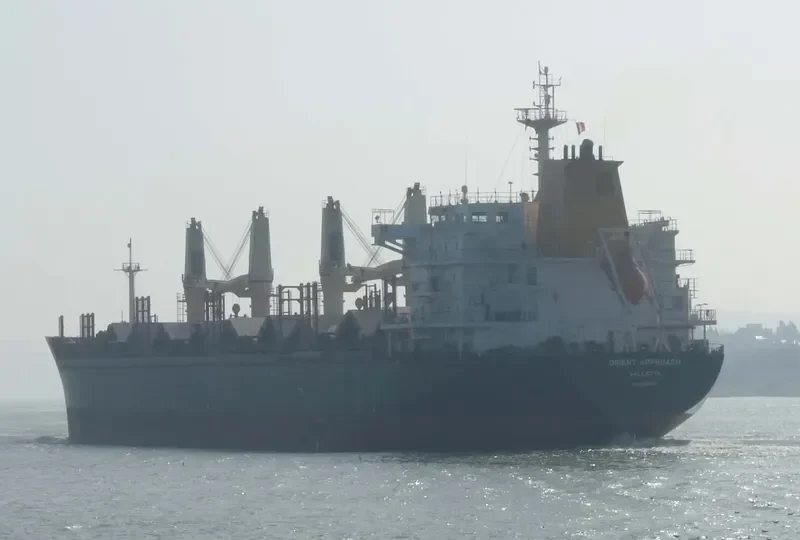 SEPETIBA BAY Bulk Carrier IMO 9496343 photo 6