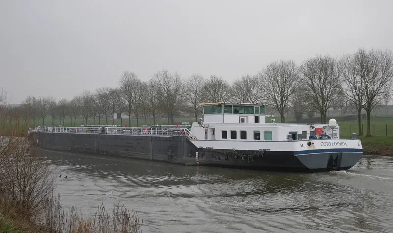 CORYLOPHIDA Tanker IMO 9496501