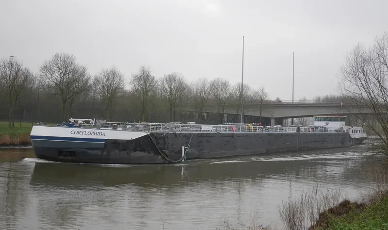 CORYLOPHIDA Tanker IMO 9496501 photo 2