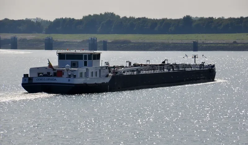 CORYLOPHIDA Tanker IMO 9496501 photo 7