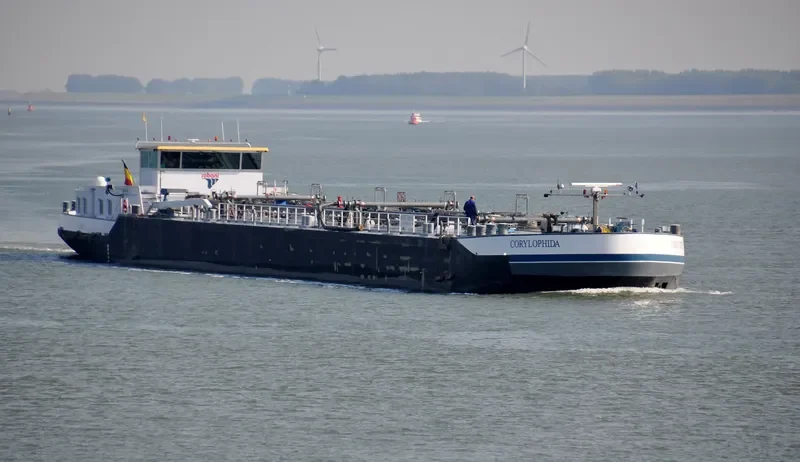 CORYLOPHIDA Tanker IMO 9496501 photo 8