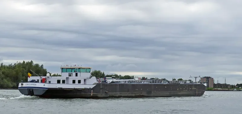 CORYLOPHIDA Tanker IMO 9496501 photo 9