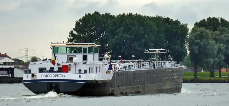 CORYLOPHIDA Tanker IMO 9496501 photo 10