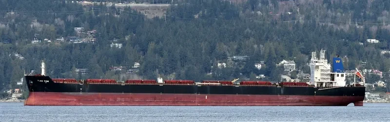 FLAG TOM Bulk Carrier IMO 9496630 photo 2