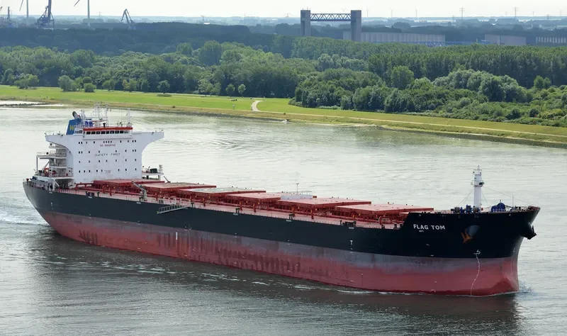 FLAG TOM Bulk Carrier IMO 9496630 photo 5