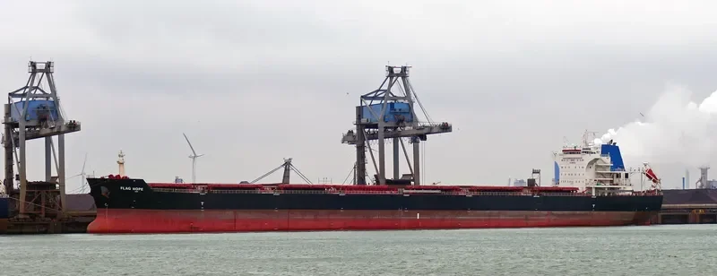 FLAG HOPE Bulk Carrier IMO 9496642 photo 2