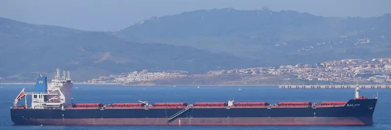 FLAG HOPE Bulk Carrier IMO 9496642 photo 3