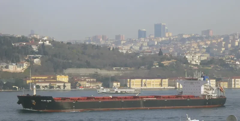 FLAG HOPE Bulk Carrier IMO 9496642 photo 4