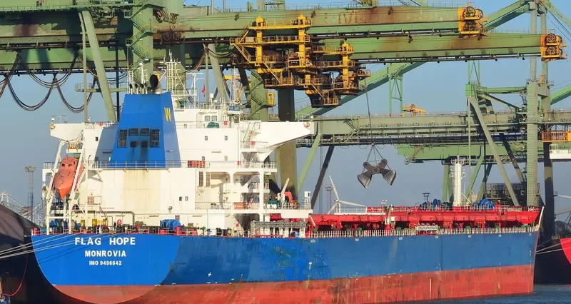 FLAG HOPE Bulk Carrier IMO 9496642 photo 6