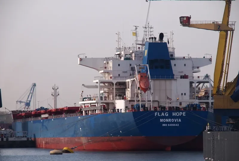 FLAG HOPE Bulk Carrier IMO 9496642 photo 8