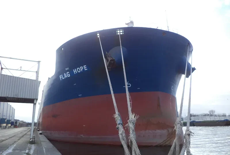 FLAG HOPE Bulk Carrier IMO 9496642 photo 9