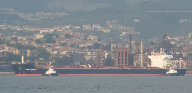 POS LOGISTICS 1 Bulk Carrier IMO 9496680 photo 4