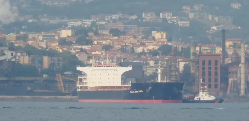 POS LOGISTICS 1 Bulk Carrier IMO 9496680 photo 5