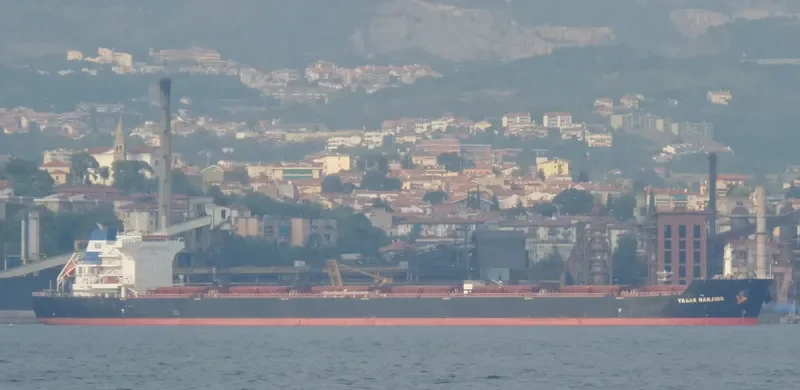 POS LOGISTICS 1 Bulk Carrier IMO 9496680 photo 7