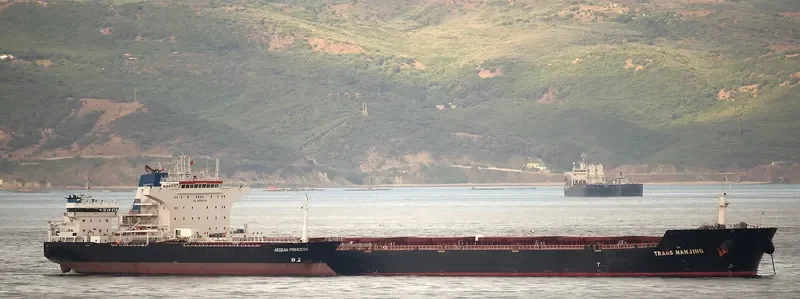 POS LOGISTICS 1 Bulk Carrier IMO 9496680 photo 8