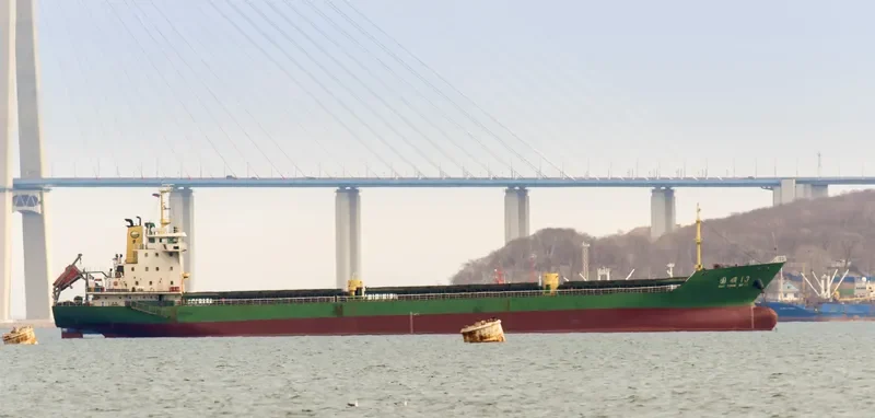 GUO SHUN 13 Bulk Carrier IMO 9496886 photo 2