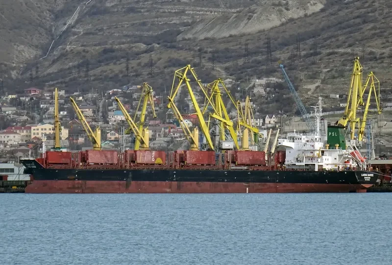 LANNA NAREE Bulk Carrier IMO 9496939