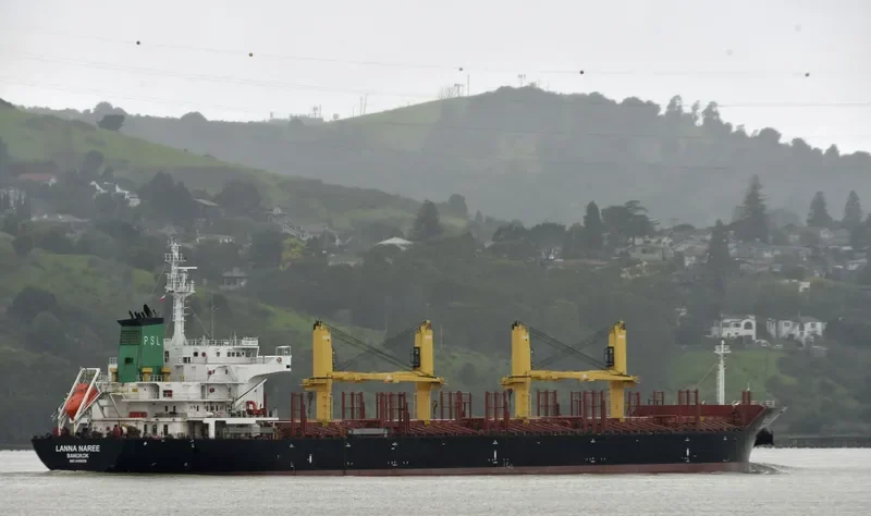LANNA NAREE Bulk Carrier IMO 9496939 photo 4