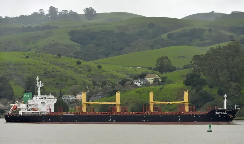 LANNA NAREE Bulk Carrier IMO 9496939 photo 5