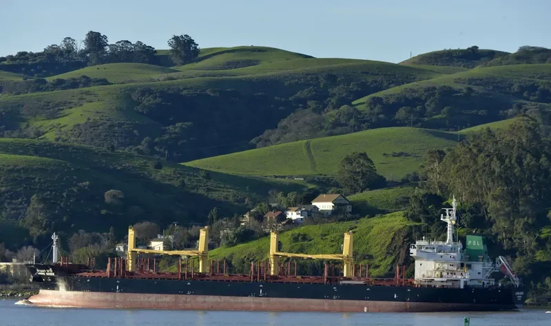 LANNA NAREE Bulk Carrier IMO 9496939 photo 6