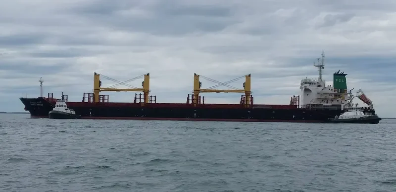 LANNA NAREE Bulk Carrier IMO 9496939 photo 9