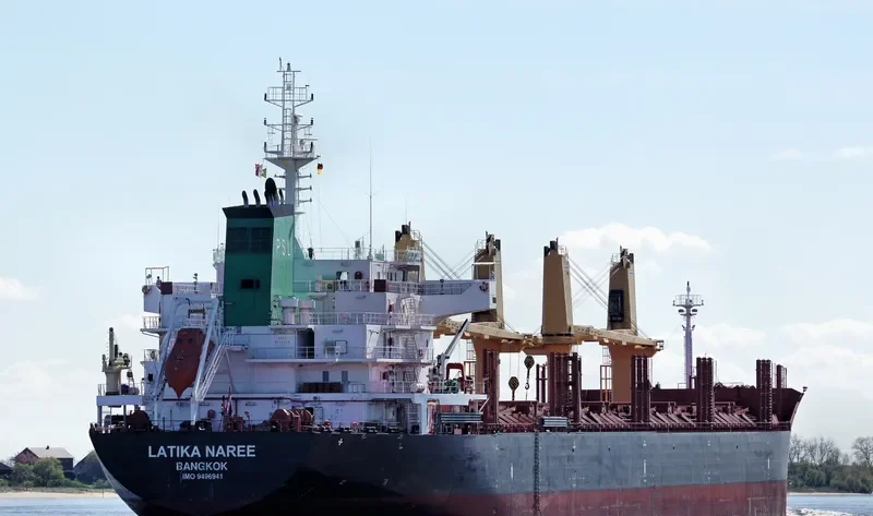 LATIKA NAREE Bulk Carrier IMO 9496941 photo 6