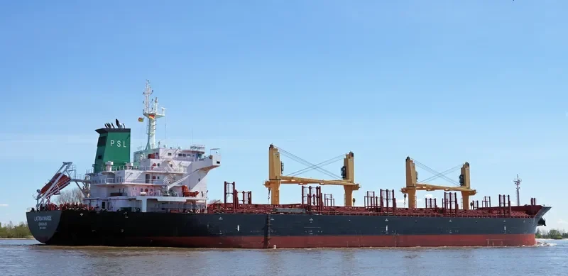 LATIKA NAREE Bulk Carrier IMO 9496941 photo 8