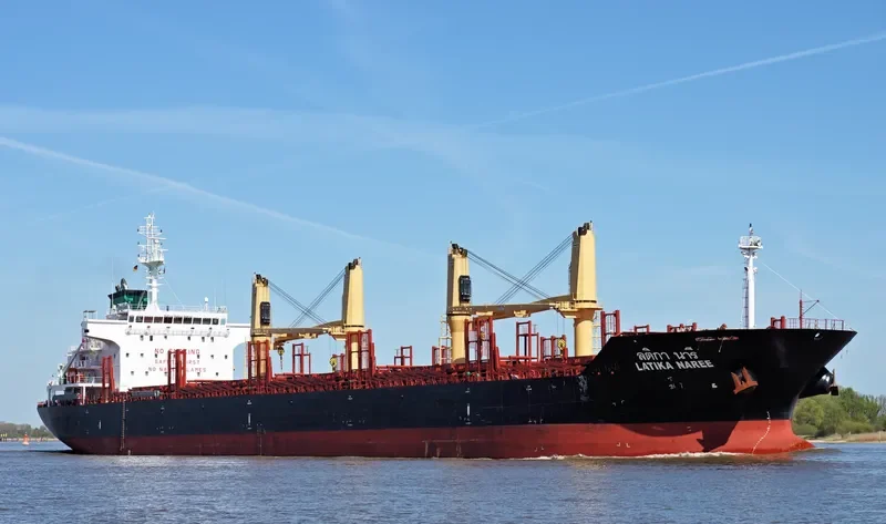 LATIKA NAREE Bulk Carrier IMO 9496941 photo 9