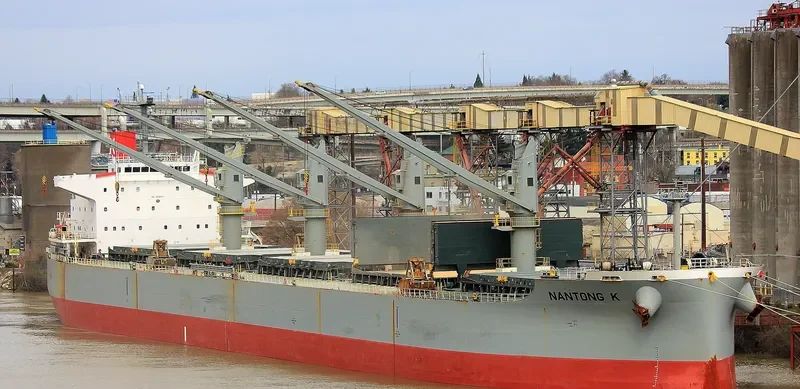 BULK FRIENDSHIP Bulk Carrier IMO 9496977 photo 3