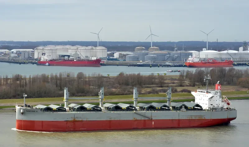 BULK FRIENDSHIP Bulk Carrier IMO 9496977 photo 4