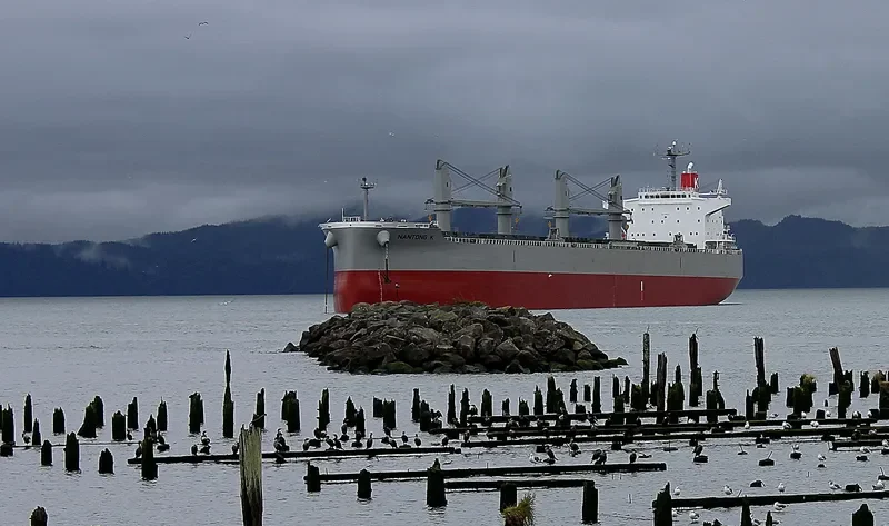 BULK FRIENDSHIP Bulk Carrier IMO 9496977 photo 7