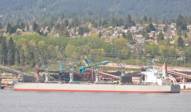 BULK FRIENDSHIP Bulk Carrier IMO 9496977 photo 8