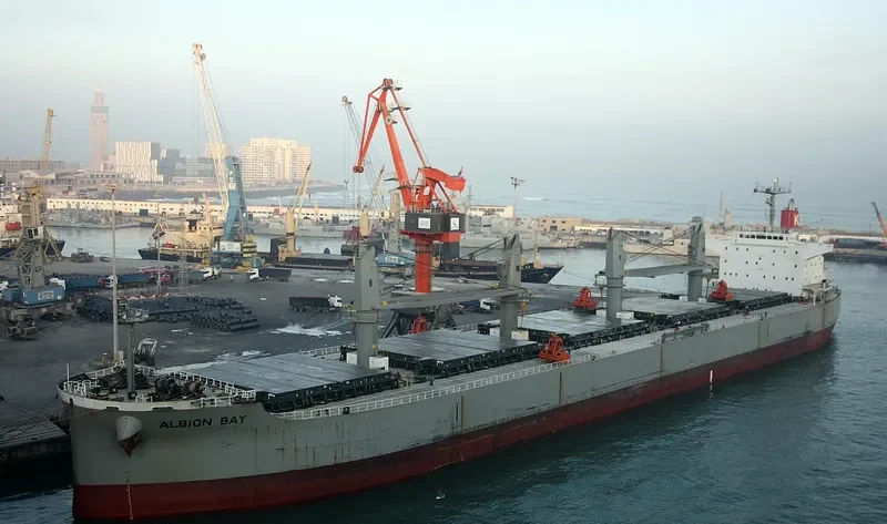 ALBION BAY Bulk Carrier IMO 9496989