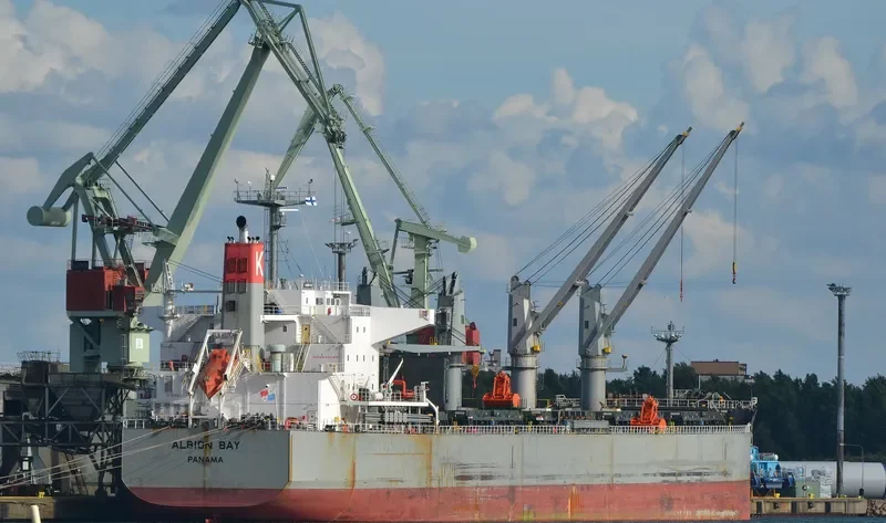 ALBION BAY Bulk Carrier IMO 9496989 photo 3