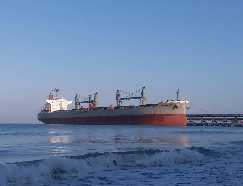 ALBION BAY Bulk Carrier IMO 9496989 photo 5