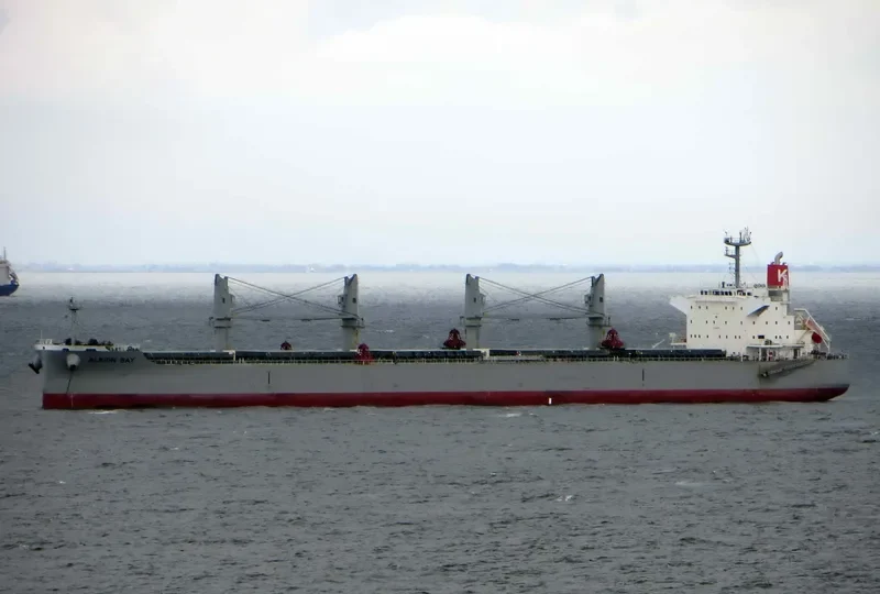 ALBION BAY Bulk Carrier IMO 9496989 photo 6