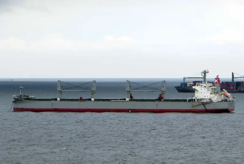 ALBION BAY Bulk Carrier IMO 9496989 photo 8