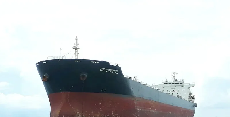 XING SHENG Bulk Carrier IMO 9497050 photo 3
