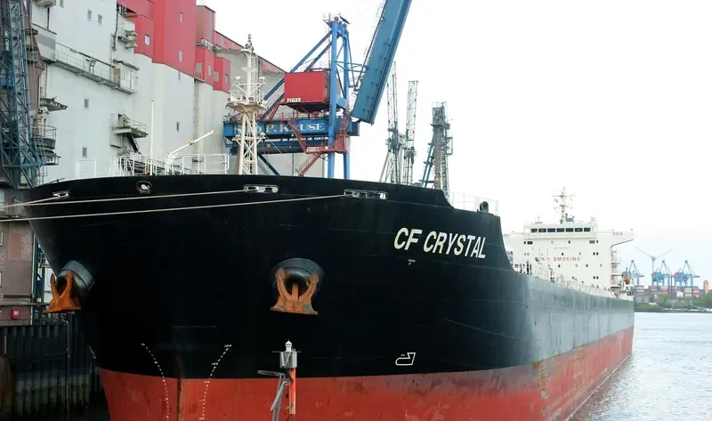 XING SHENG Bulk Carrier IMO 9497050 photo 7