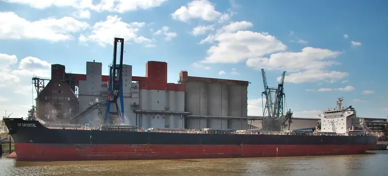 XING SHENG Bulk Carrier IMO 9497050 photo 8