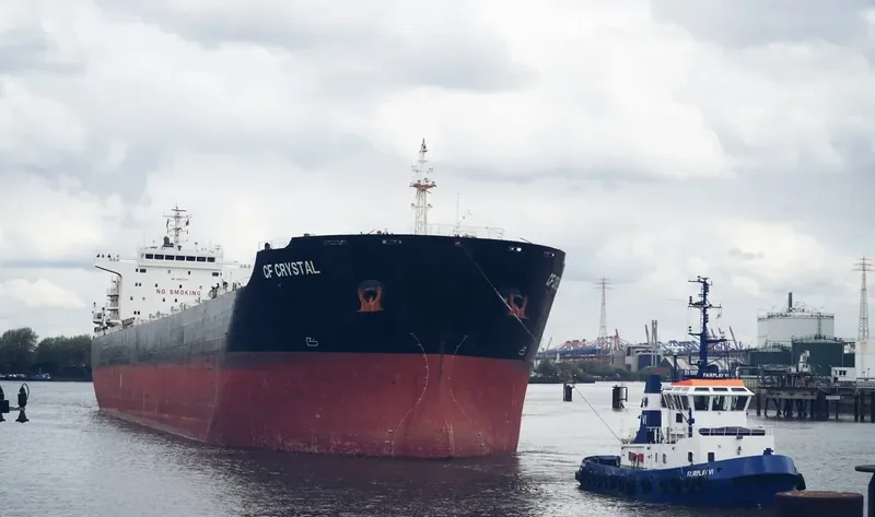 XING SHENG Bulk Carrier IMO 9497050 photo 9