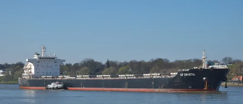 XING SHENG Bulk Carrier IMO 9497050 photo 10