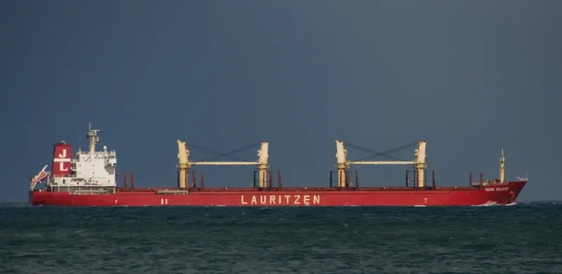 REA Bulk Carrier IMO 9497165
