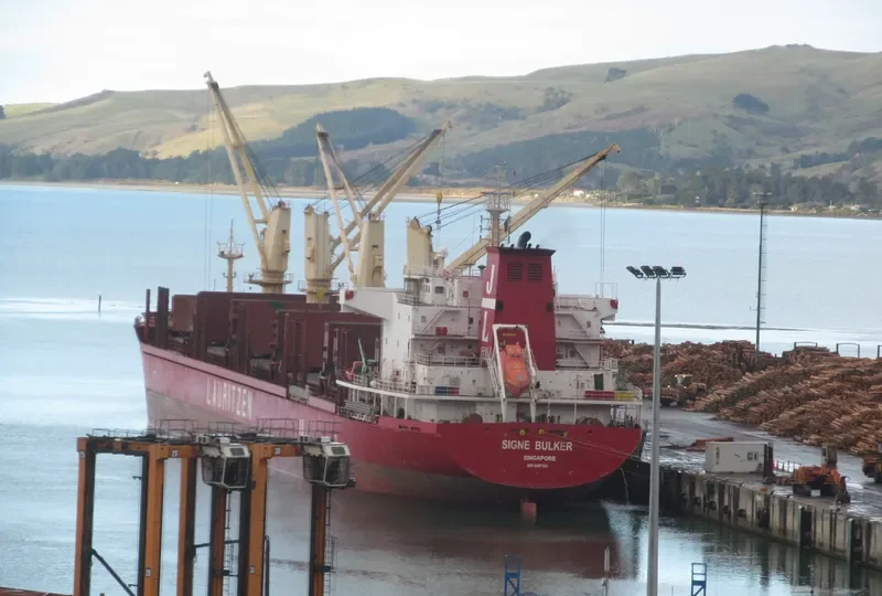 REA Bulk Carrier IMO 9497165 photo 2