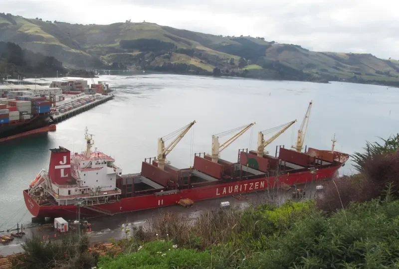REA Bulk Carrier IMO 9497165 photo 3