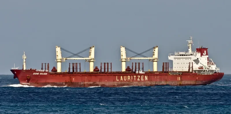 REA Bulk Carrier IMO 9497165 photo 6